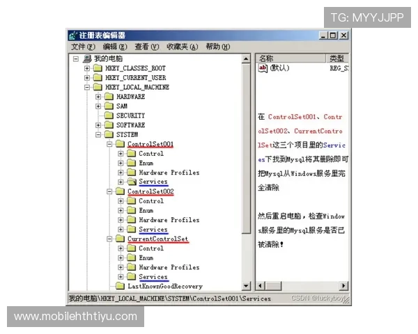 HTH体育登录指南详解，帮助新手快速注册登录并掌握平台操作技巧提升游戏体验